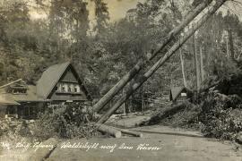 Gasthaus Waldidylle bei Wehlen nach einem schweren Orkan am 29.7.1933 / Dietrich Graf, Rathewalde
