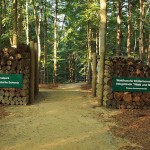Eingang zur Waldhusche