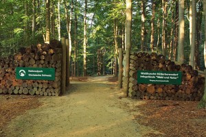 Eingang zur Waldhusche