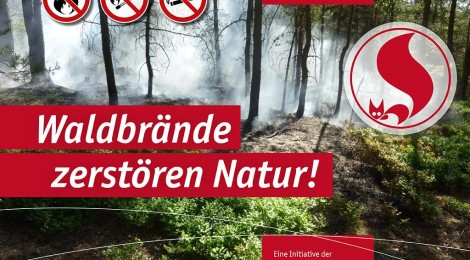 (Deutsch) Die Wälder im Landkreis Sächsische Schweiz-Osterzgebirge dürfen nachts wieder betreten werden - Feuern im Wald bleibt ganzjährig verboten