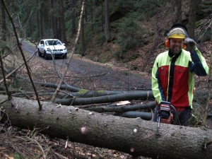 Nationalparkranger Marko Hänsel beim Beseitigen der Sturmschäden/ Foto: Nationalparkverwaltung