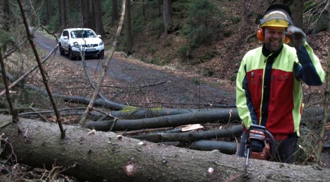 Nationalparkranger Marko Hänsel beim Beseitigen der Sturmschäden/ Foto: Nationalparkverwaltung