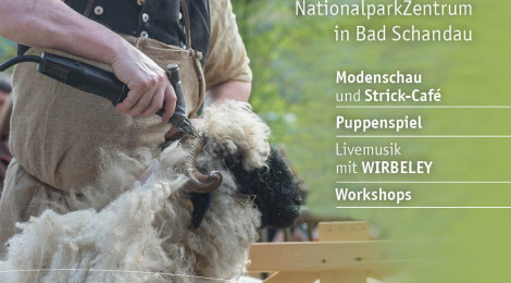 (Deutsch) 13. Wollfest – am Samstag im Garten des NationalparkZentrums