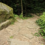 Waldweg mit Sandsteinen
