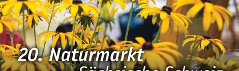 20. Naturmarkt Sächsische Schweiz in Stadt Wehlen - Quiz „Gutes von hier“ mit vielen Gewinnen aus der Region