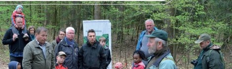 (Deutsch) Sachsenforst veröffentlicht neue Waldpost