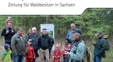 Sachsenforst veröffentlicht neue Waldpost