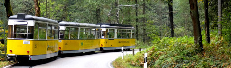 Die Kirnitzschtalbahn bei Ihrer kurvigen Fahrt durch das Tal