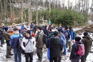 Eine Gruppe ehrenamtlicher Helfer betrachtet die Umwandlung des Fichtenwaldes, nachdem Borkenkäfer die Altbäume zum absterben gebracth haben und junger Wald nachwächst.