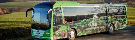 Bus mit Naturmotiven steht vor dem Panorama der Festung Königstein