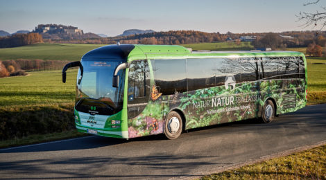 Bus mit Naturmotiven steht vor dem Panorama der Festung Königstein