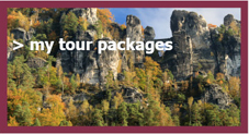 link to my tour packages