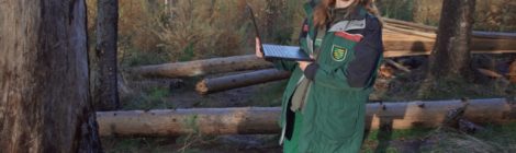 Beke Hielscher ist neue Betriebsleiterin der Nationalparkverwaltung und prüft die Entwicklung des Waldes nachdem zahlreiche Fichten durch den Borkenkäfer zum Absterben gebracht wurden