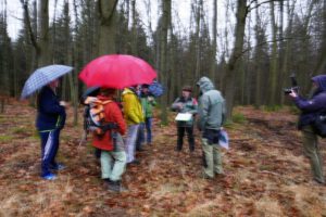 Auf dem wegen Regen sehr unscharfen Foto, steht eine Gruppe von Menschen vor dem zur Fällung geplanten spätherbsltichen Roteichenwald und folgt den Erläuterungen von Nationalparkleiter Dr. Dietrich Butter