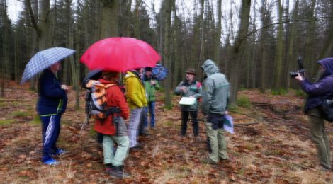 Auf dem wegen Regen sehr unscharfen Foto, steht eine Gruppe von Menschen vor dem zur Fällung geplanten spätherbsltichen Roteichenwald und folgt den Erläuterungen von Nationalparkleiter Dr. Dietrich Butter
