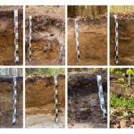 Boden ist nicht gleich Boden – die sieben Bodenprofile zeigen die Vielfältigkeit der Böden