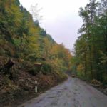 Eine Straße in einem tiefen Tal wird nach Baumfällarbeiten bald wieder geöffnet