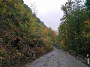 Eine Straße in einem tiefen Tal wird nach Baumfällarbeiten bald wieder geöffnet