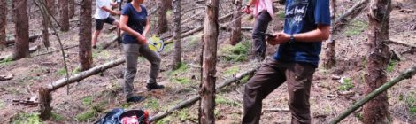 Mitarbeiter der Universität Eberswalde bereiten Messungen zur Entwicklung der Vegettion im Nationalpark Sächsische Schweiz vor, um zu erforschen, wie sich der Wald nach dem großflächigen Absterben von Fichten durch den Befall von Borkenkäfern entwickeln wird.