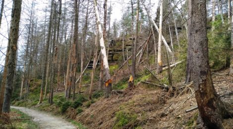 (Deutsch) Die AG Wege hat weitere Maßnahmen für die Offenhaltung der Wege in der Nationalparkregion festgelegt