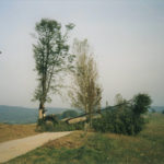 Sturmschaden im Jahr 1992, das Ende für den Kugelbaum.