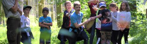 Dank spielerischer Elemente lernen die Kinder viel über den Wald.
