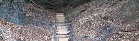 (Deutsch) Nationalparkverwaltung setzt weitere Steiganlagen an Wanderwegen instand