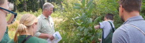 (Deutsch) Genialsozial: Schülerinnen und Schüler unterstützen Pflanzungen im Landschaftsschutzgebiet Sächsische Schweiz