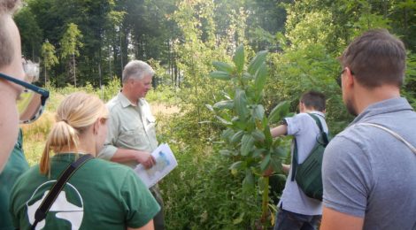 Genialsozial: Schülerinnen und Schüler unterstützen Pflanzungen im Landschaftsschutzgebiet Sächsische Schweiz