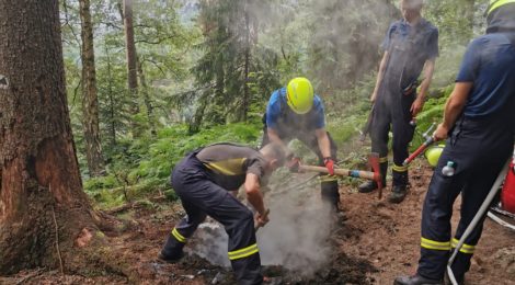 (Deutsch) Nationalparkverwaltungen danken den Feuerwehren und appellieren das Feuerverbot einzuhalten - Zum Jahrestag erneut qualmende Feuerstelle entdeckt