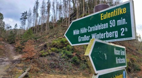 Wanderweg Eulentilke im Nationalpark wieder passierbar