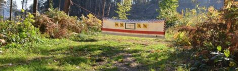 Nationalpark- und Forstverwaltung Sächsische Schweiz besteht den „Wald-TÜV“