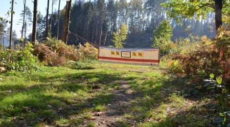 Nationalpark- und Forstverwaltung Sächsische Schweiz besteht den "Wald-TÜV" - Ergebnis des PEFC – Audit in der Nationalpark- und Forstverwaltung Sächsische Schweiz von Sachsenforst steht fest!